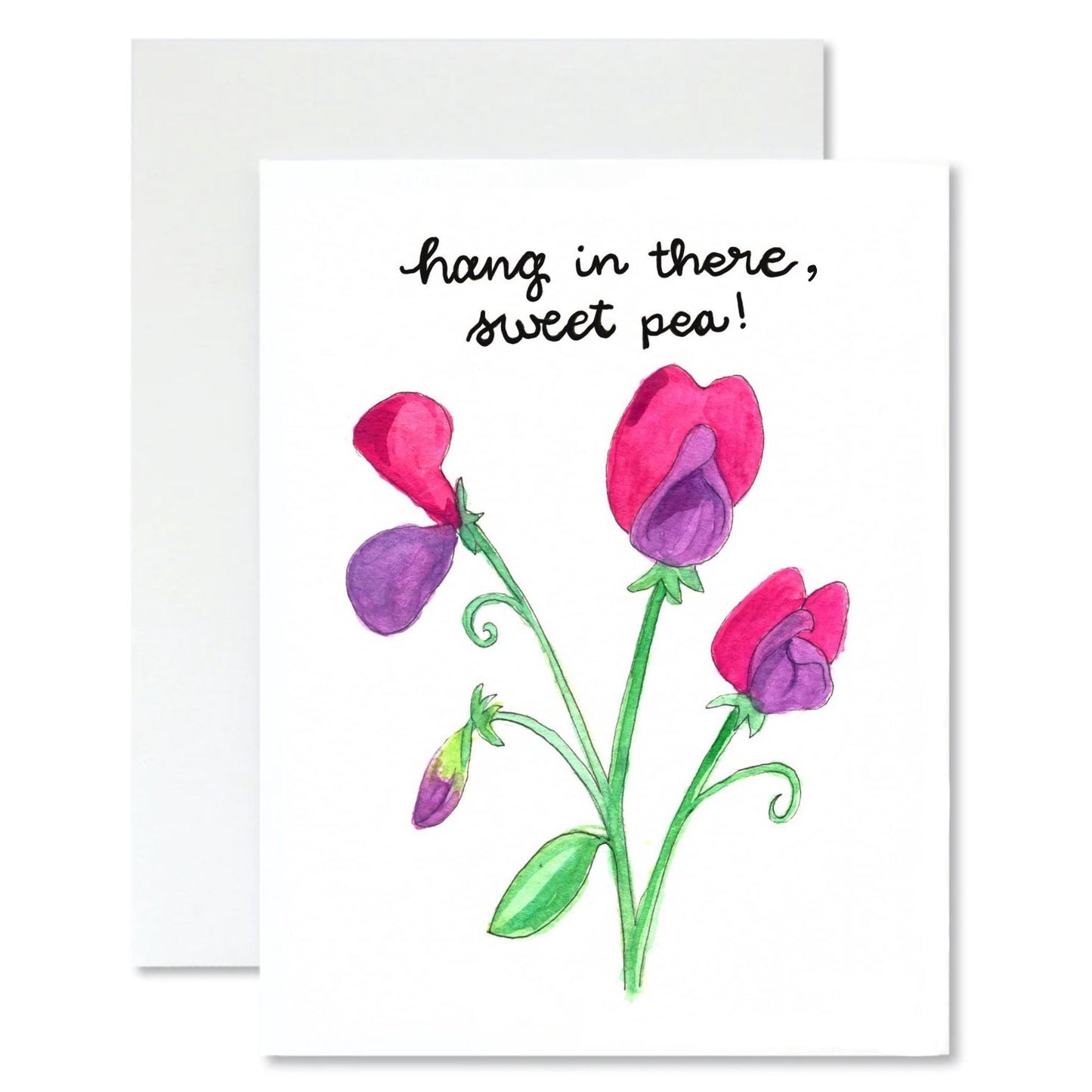 Greeting card with pink flowers and 'hang in there, sweet pea!' text on a white background